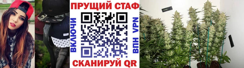 Где продают наркотики Алейск Каннабис  Героин  A PVP  ГАШИШ  Мефедрон  АМФ 