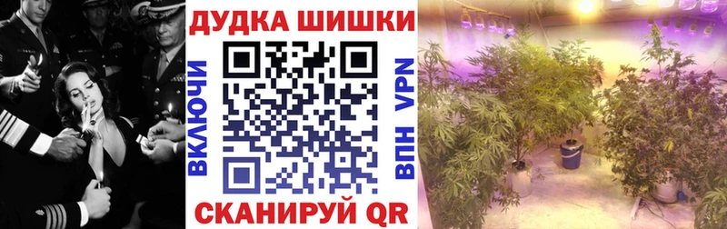 Шишки марихуана MAZAR  наркошоп  дарк нет состав  Алейск 